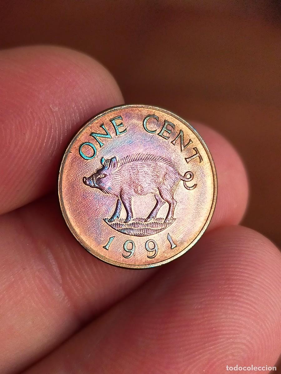 Monedas antiguas de Am&eacute;rica: MONEDA DE 1 UN CENT CENTAVO CENTIMO ISLAS BERMUDA 1991 MUY BUENA CONSERVACION