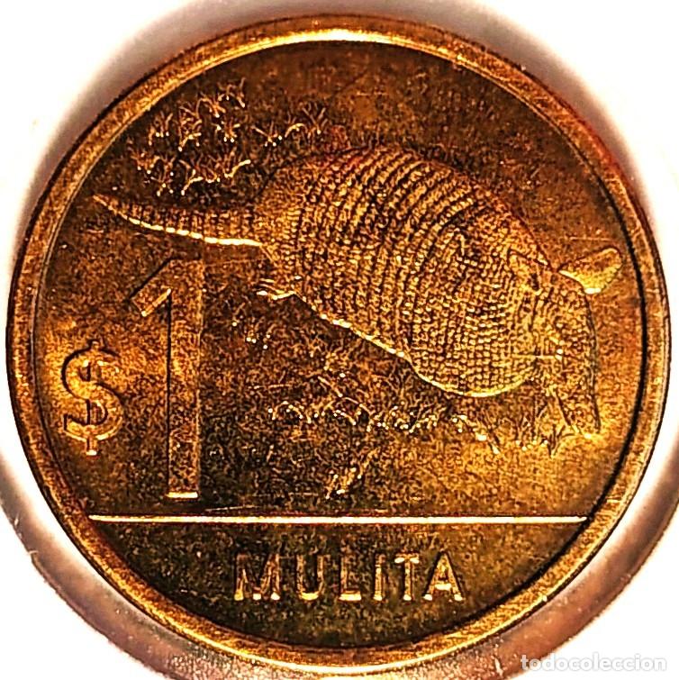 Monedas antiguas de Am&eacute;rica: URUGUAY (1994-) - 1 PESO 2019 (MULITA) - PESO URUGUAYO - A - 3,50 GR. ALUMINIO-BRONCE - DIAMETRO 20