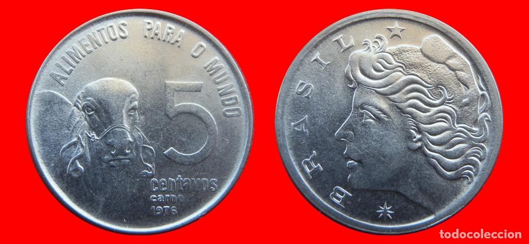 Monedas antiguas de Am&eacute;rica: 5 CENTAVOS 1976 BRASIL-150126