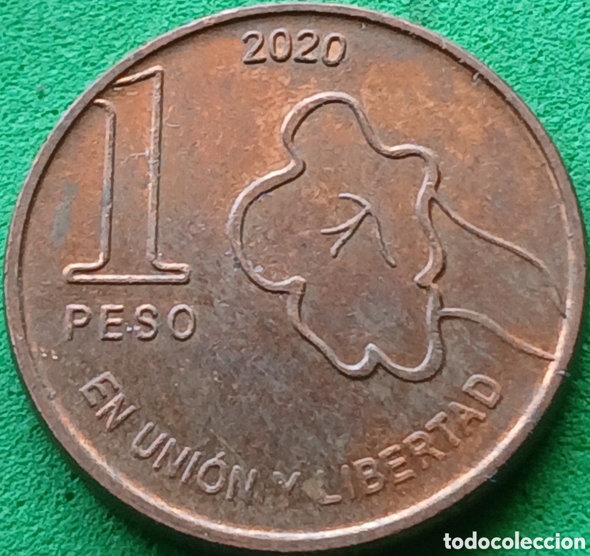 Monedas antiguas de Am&eacute;rica: Argentina 1 peso 2020 UC#1