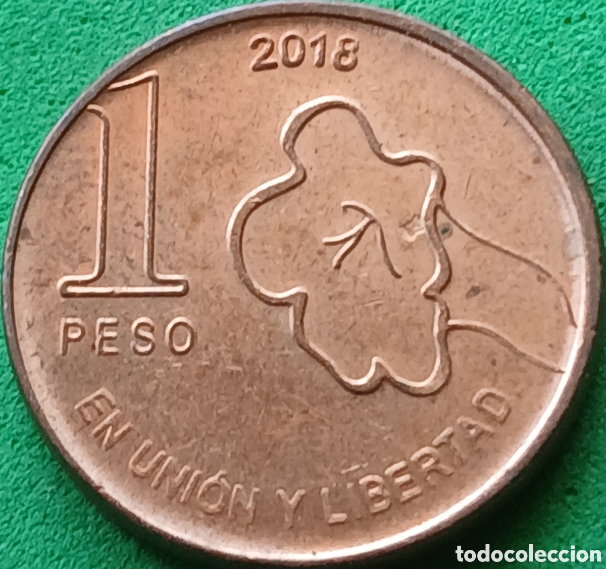Monedas antiguas de Am&eacute;rica: Argentina 1 peso 2018 UC#1