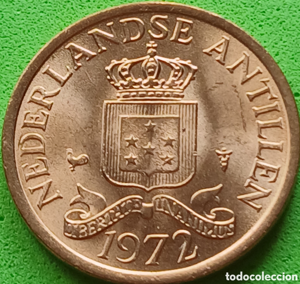Monedas antiguas de Am&eacute;rica: Antillas Neerlandesas 1 cent 1972 km#8 poco com&uacute;n