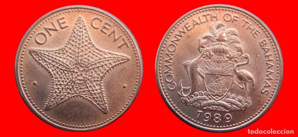 Monedas antiguas de Am&eacute;rica: 1 CENTAVO CENT CENTIMO 1989 BAHAMAS-150409