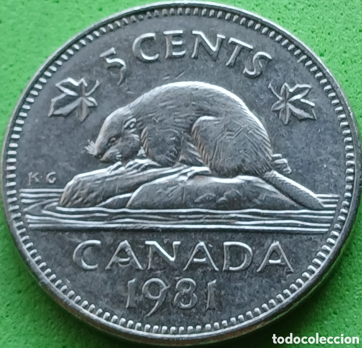 Monedas antiguas de Am&eacute;rica: Canad&aacute; 5 cents 1981 km#60.2