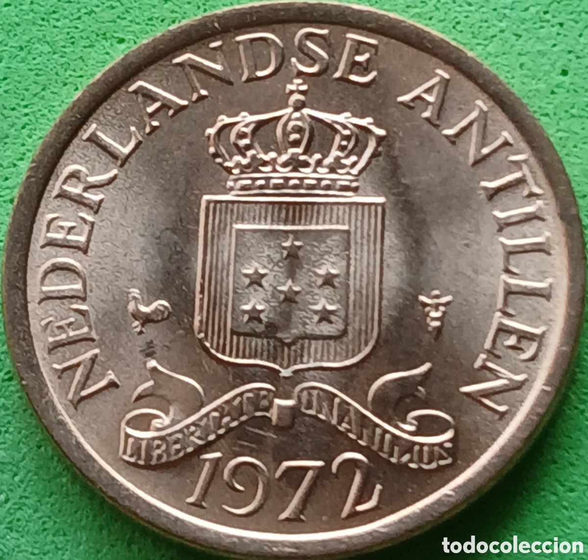 Monedas antiguas de Am&eacute;rica: Antillas Neerlandesas 1 cent 1972 km#8 poco com&uacute;n