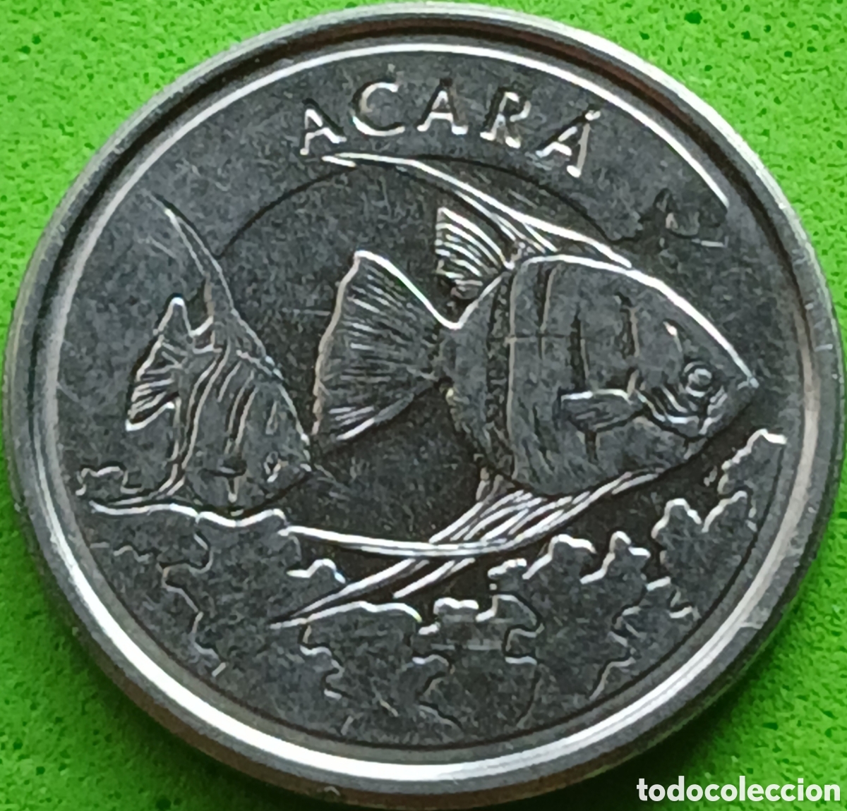 Monedas antiguas de Am&eacute;rica: Brasil 1000 cruzeiros 1993 km#626