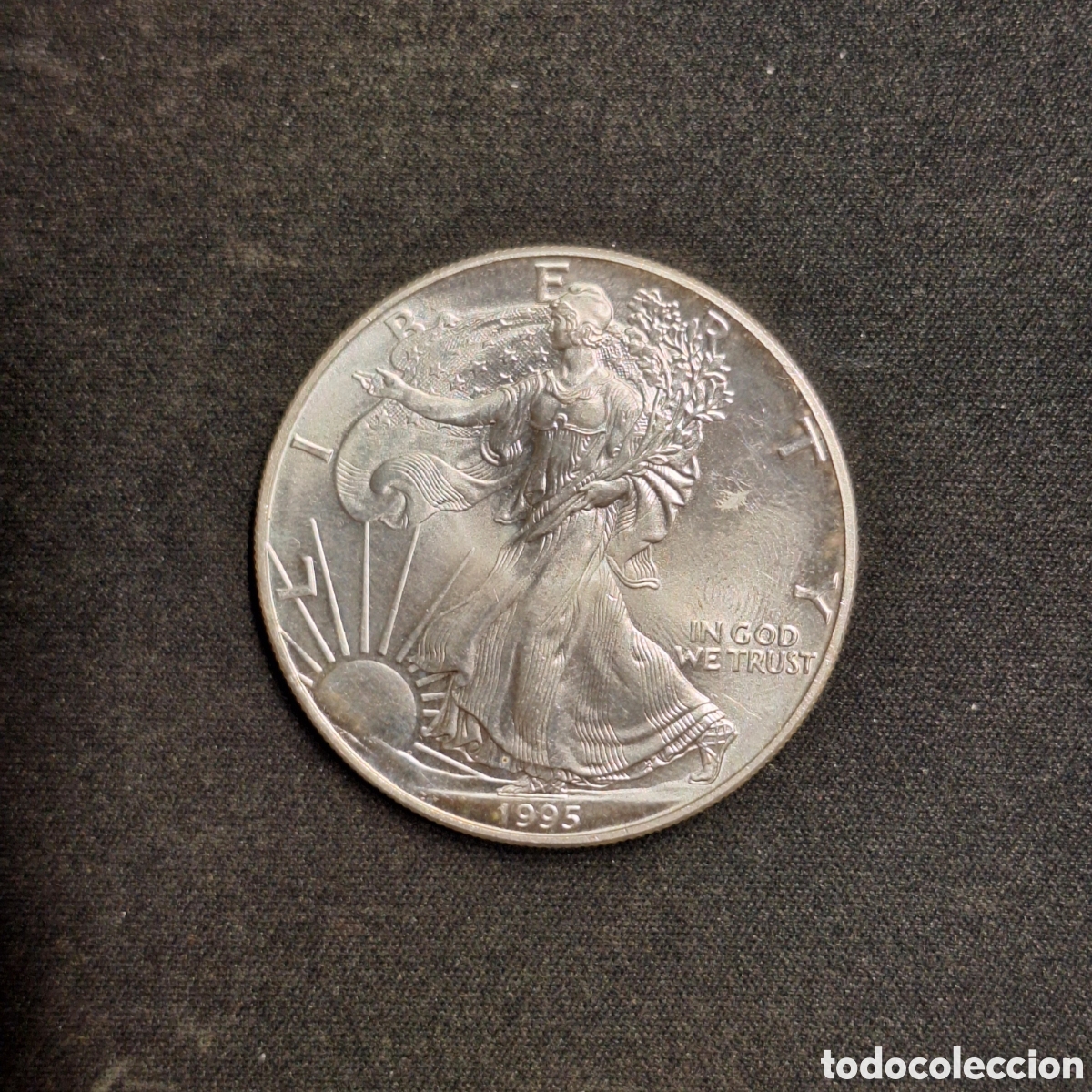 Monedas antiguas de Am&eacute;rica: Onza plata pura 1 D&oacute;lar USA 1995