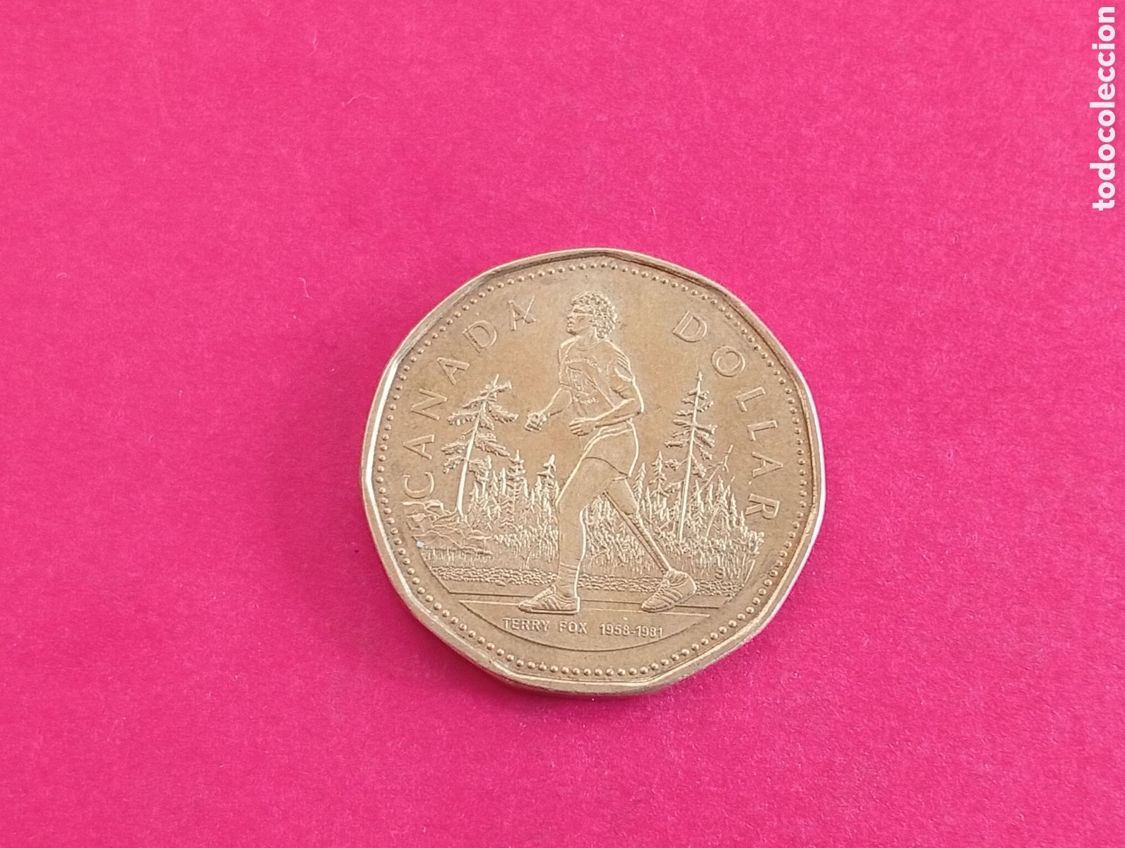 Monnaies anciennes d'Am&eacute;rique: 1 dolar de Canad&aacute; 2005