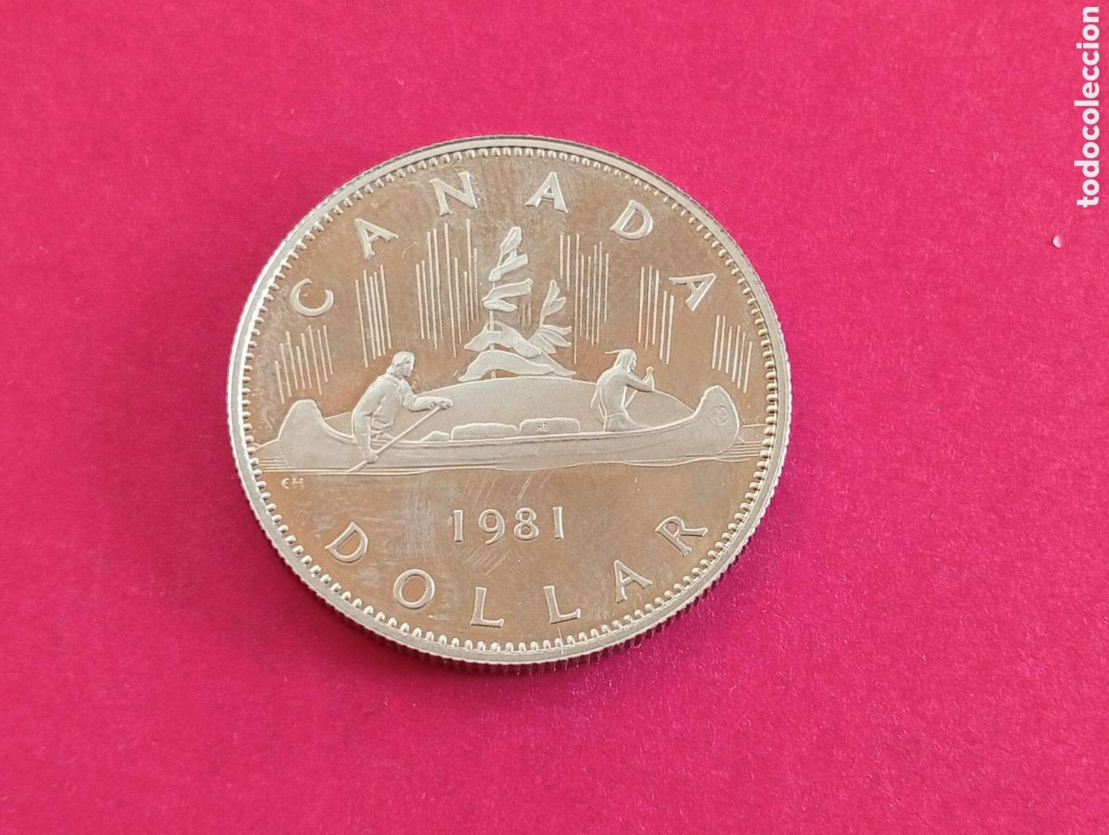 Monedas antiguas de Am&eacute;rica: 1 dolar de Canad&aacute; 1981