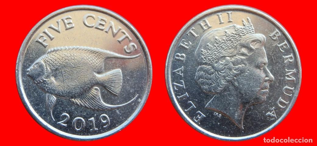Monedas antiguas de Am&eacute;rica: 5 CENTAVOS 2019 BERMUDA-150924