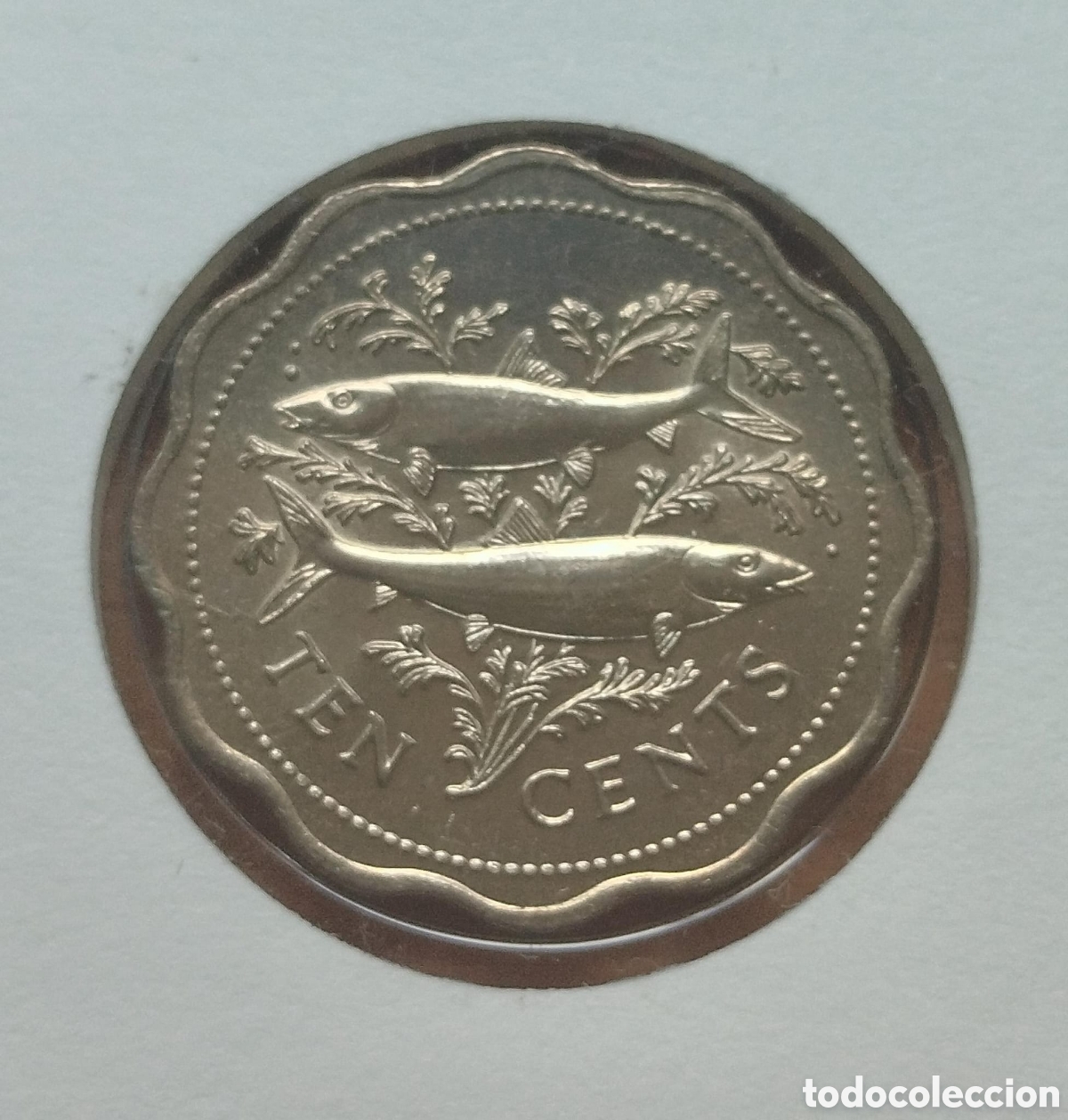 Monedas antiguas de Am&eacute;rica: Sobre Numism&aacute;tico Bahamas 1985 - Foto 3