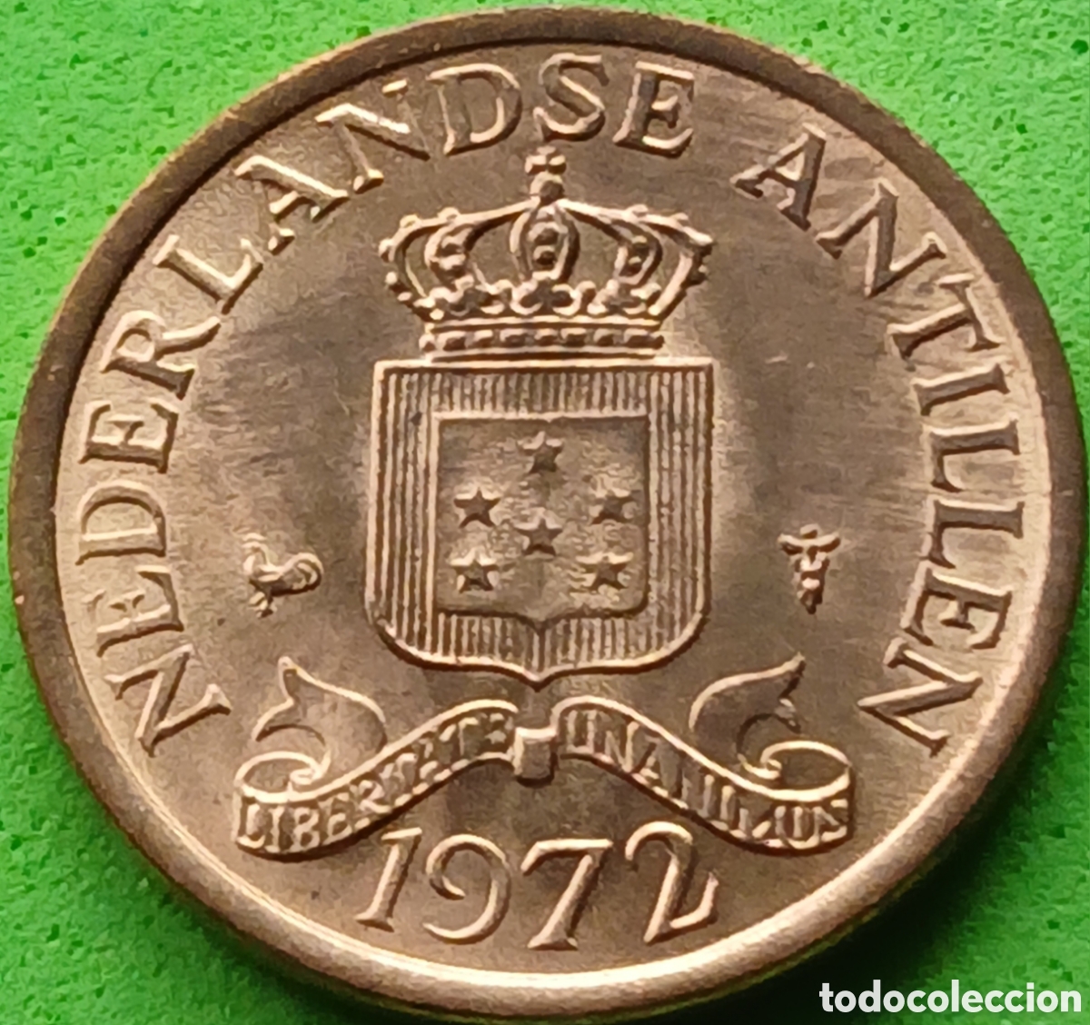 Monedas antiguas de Am&eacute;rica: Antillas Neerlandesas 1 cent 1972 km#8 poco com&uacute;n