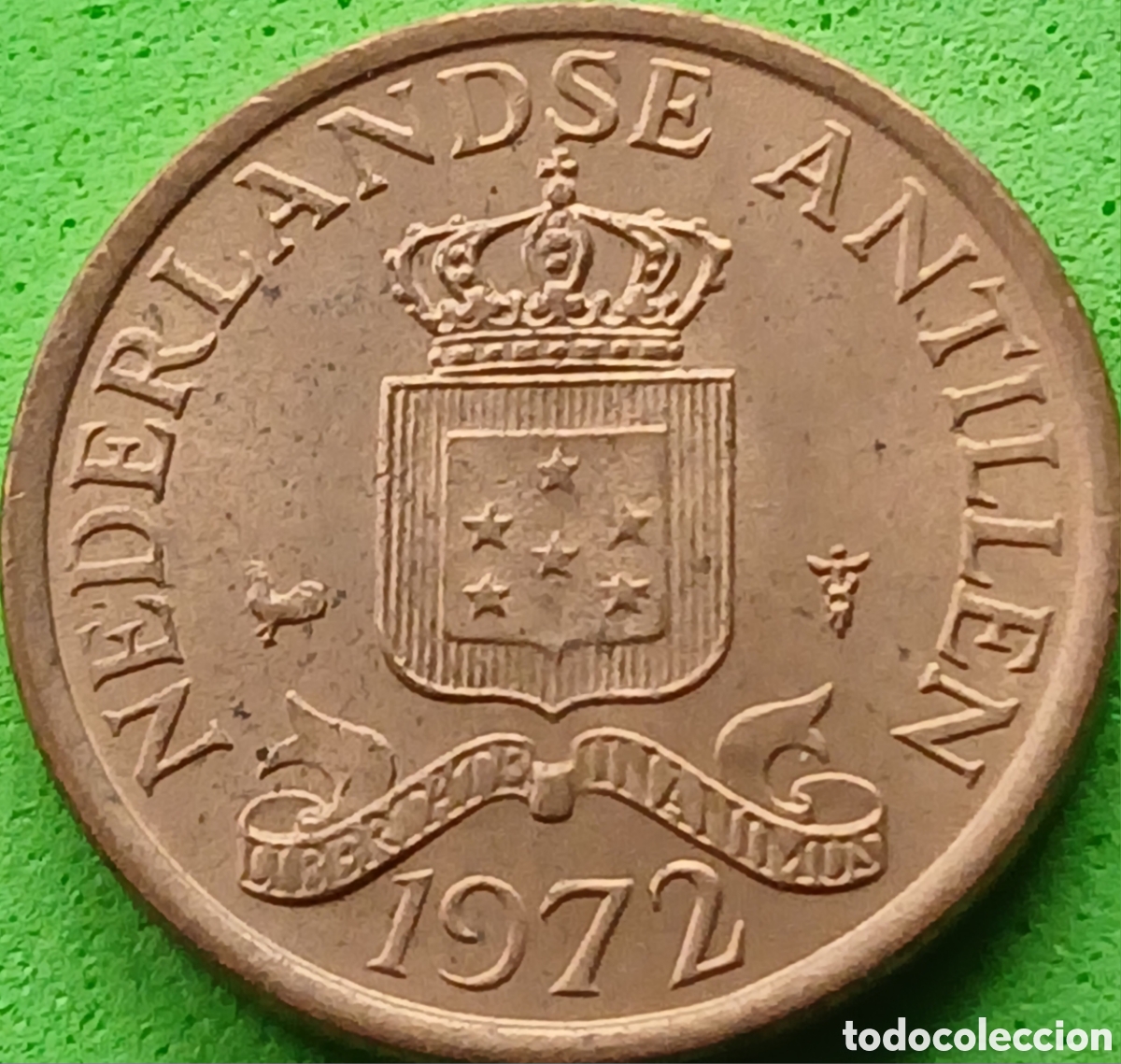 Monedas antiguas de Am&eacute;rica: Antillas Neerlandesas 1 cent 1972 km#8 poco com&uacute;n