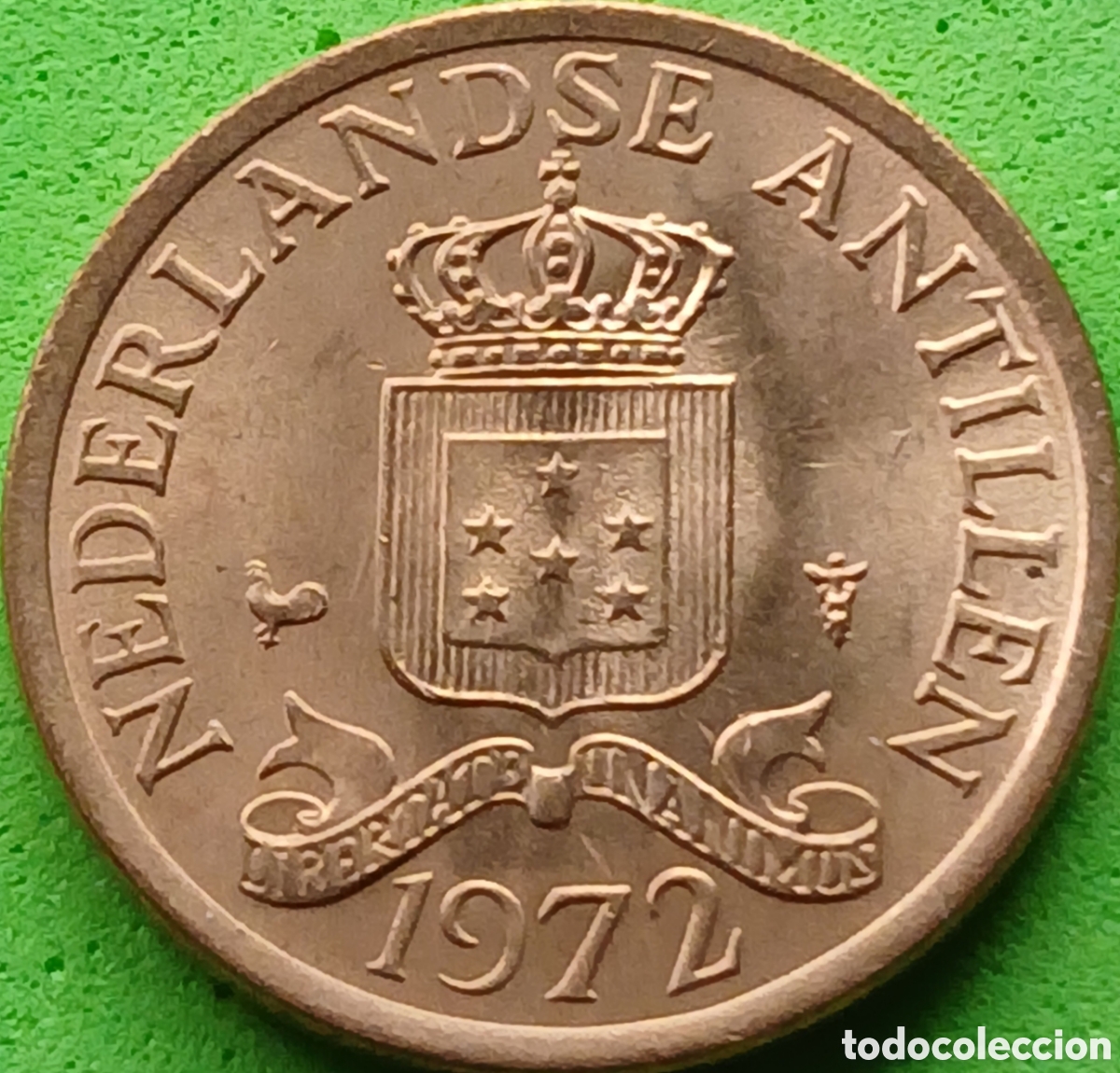 Monedas antiguas de Am&eacute;rica: Antillas Neerlandesas 1 cent 1972 km#8 poco com&uacute;n