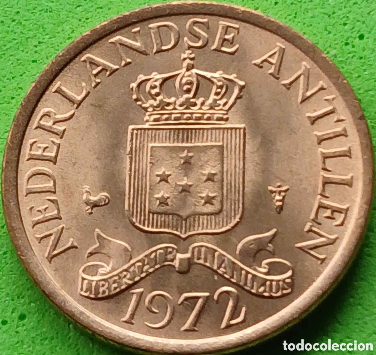 Monedas antiguas de Am&eacute;rica: Antillas Neerlandesas 1 cent 1972 km#8 poco com&uacute;n