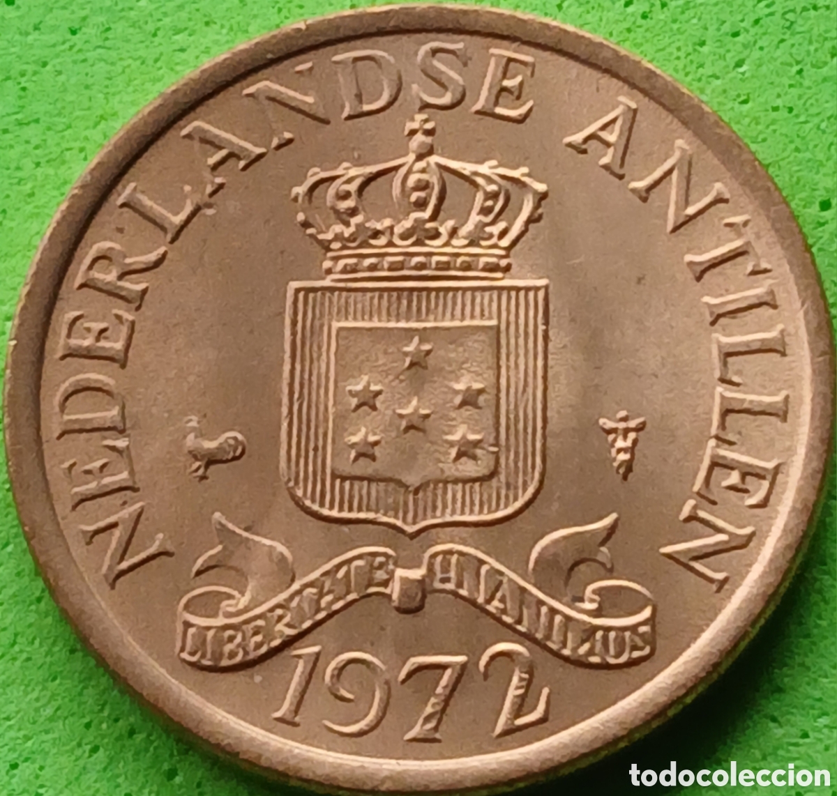 Monedas antiguas de Am&eacute;rica: Antillas Neerlandesas 1 cent 1972 km#8 poco com&uacute;n