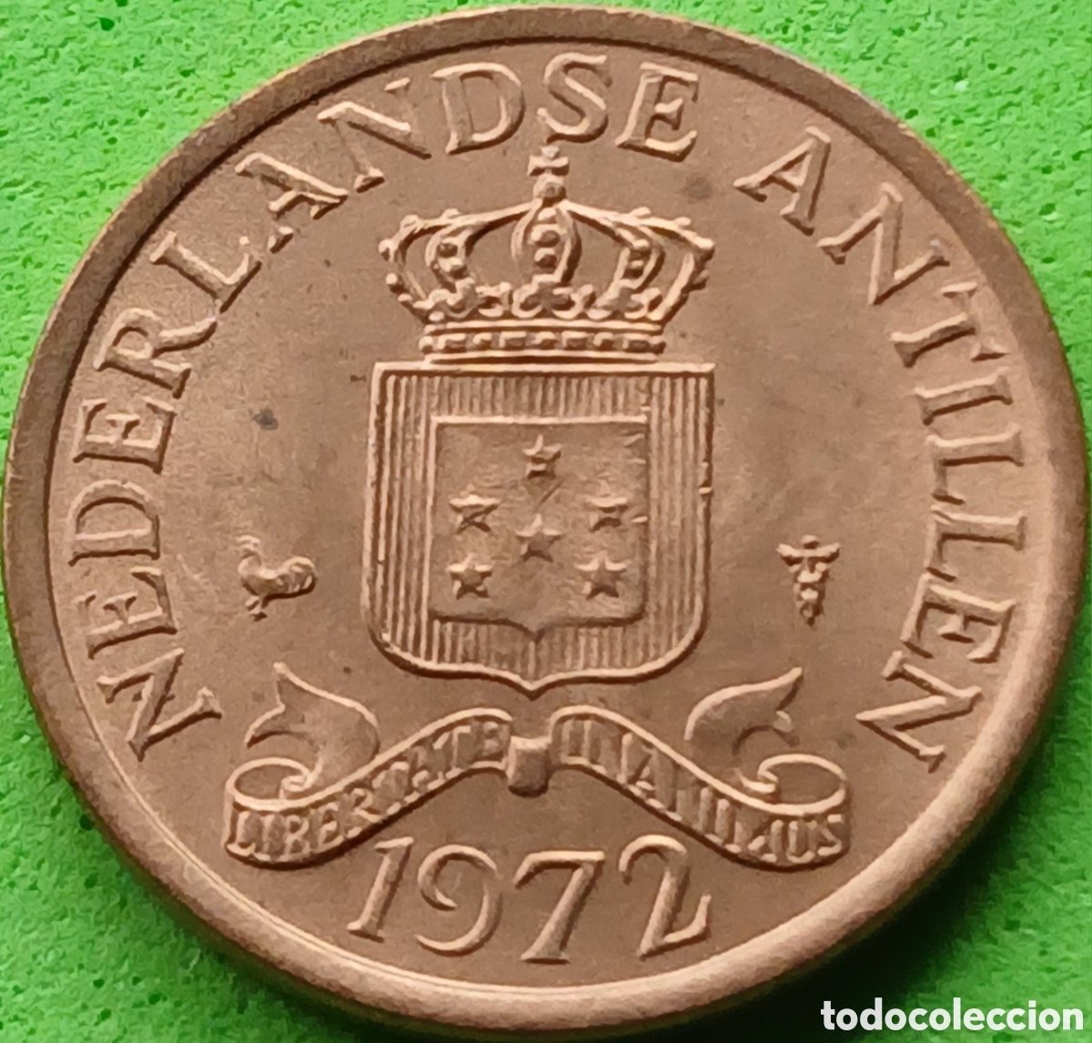 Monedas antiguas de Am&eacute;rica: Antillas Neerlandesas 1 cent 1972 km#8 poco com&uacute;n