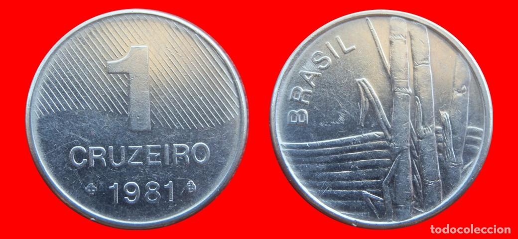 Monedas antiguas de Am&eacute;rica: 1 CRUZEIRO 1981 BRASIL-151068
