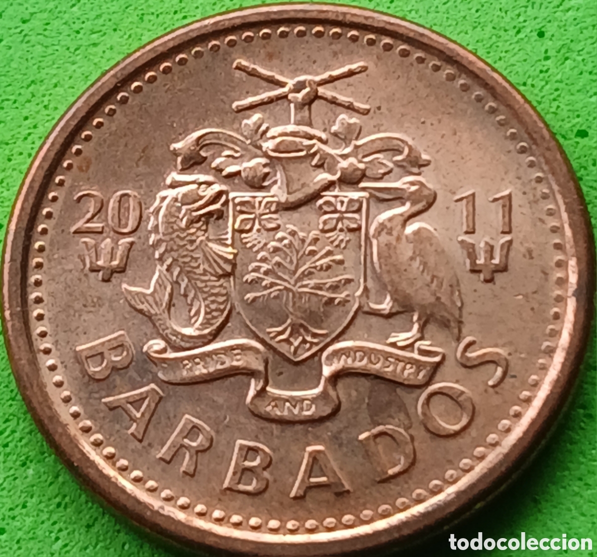 Monedas antiguas de Am&eacute;rica: Barbados 1 cent 2011 km#10b