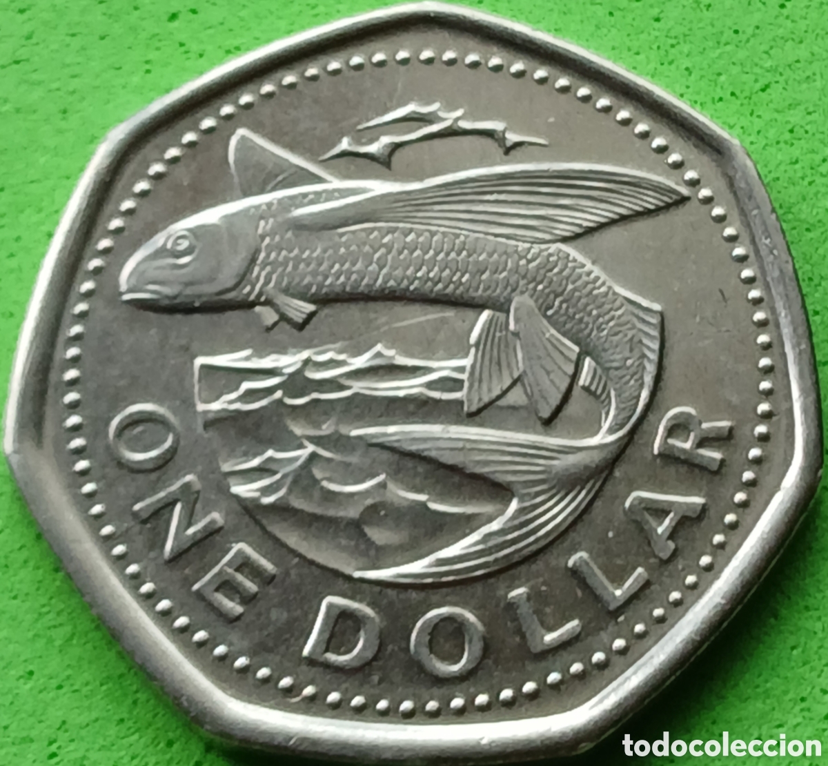 Monedas antiguas de Am&eacute;rica: Barbados one dollar 2007 km#14.2a poco com&uacute;n