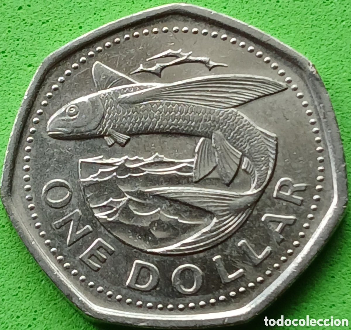 Monedas antiguas de Am&eacute;rica: Barbados one dollar 2009 km#14.2a poco com&uacute;n