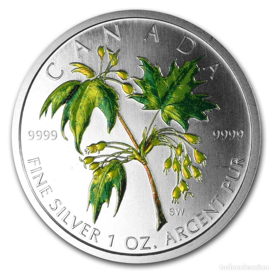 Monedas antiguas de Am&eacute;rica: CANADA 5 dolares plata 2003 Colored Maple Leaf VERANO - 1 onza