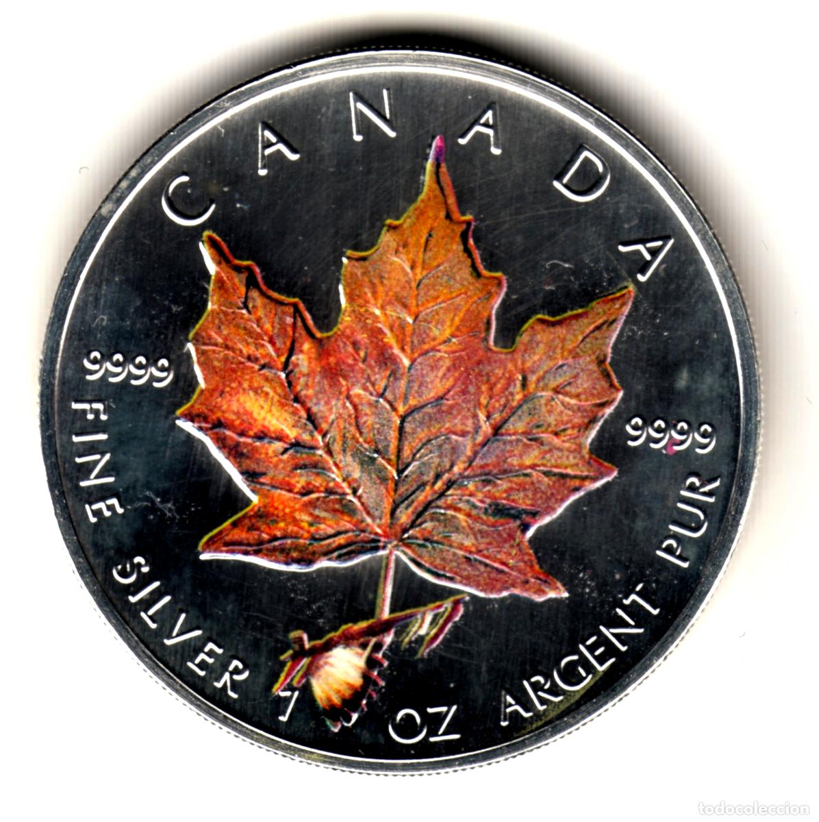 Monedas antiguas de Am&eacute;rica: CANADA 5 dolares plata 2003 Colored Maple Leaf - 1 onza color (2)