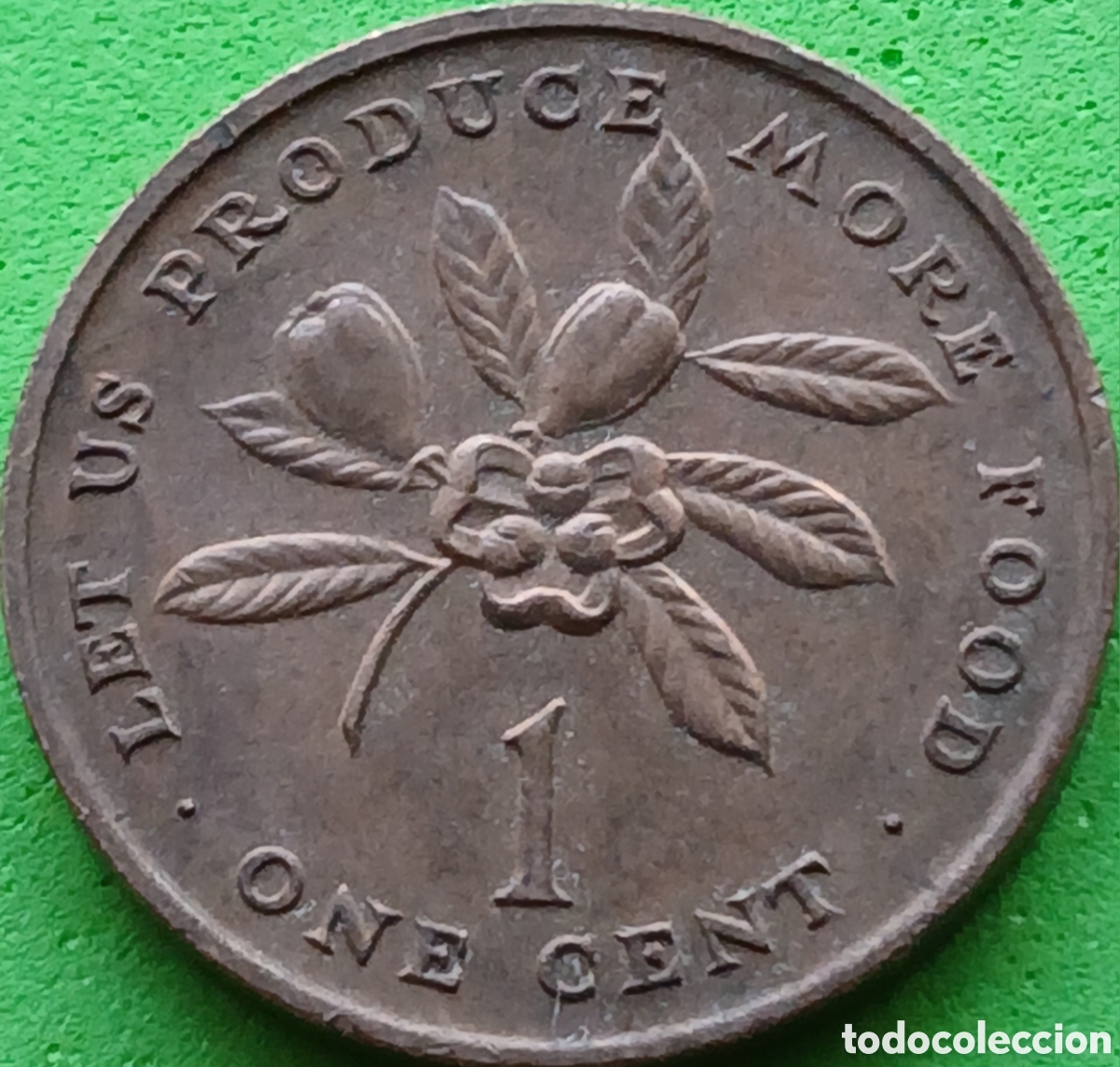 Monedas antiguas de Am&eacute;rica: Jamaica 1 cent 1971 km#52 FAO
