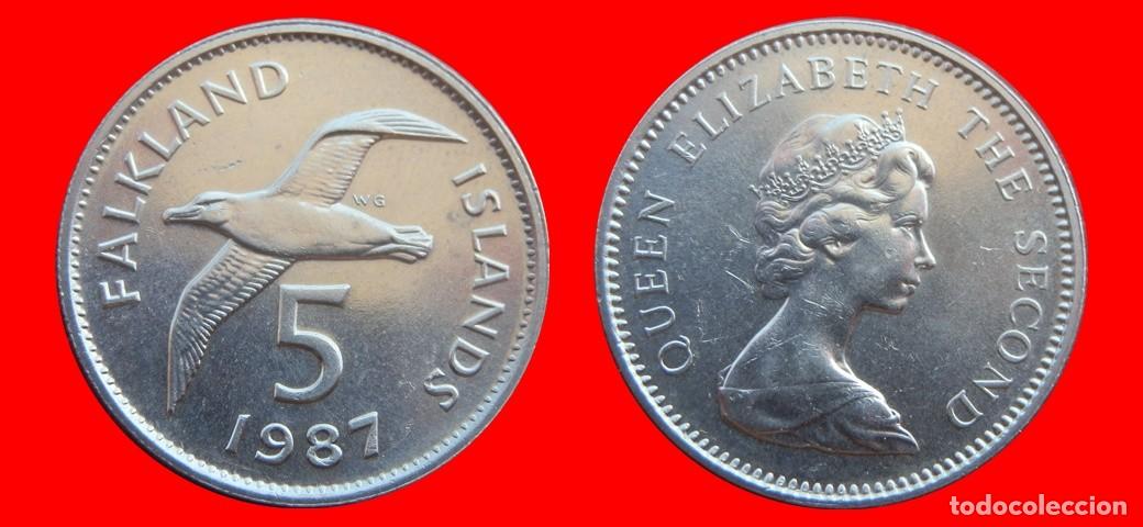 Monedas antiguas de Am&eacute;rica: 5 PENIQUES PENCE 1987 ISLAS MALVINAS FALKLAND-151349