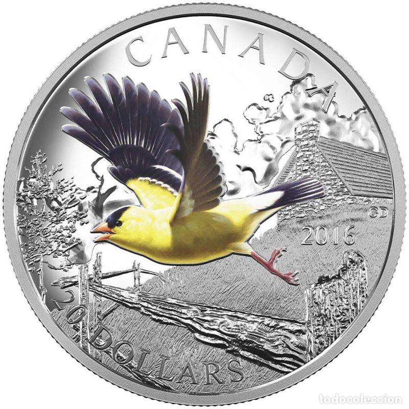 Monedas antiguas de Am&eacute;rica: CANADA 20$ ONZA DE PLATA PURA 2016 AVES JILGUERO AMERICANO