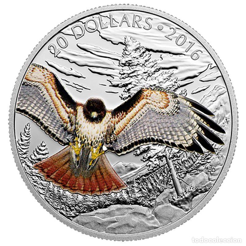 Monedas antiguas de Am&eacute;rica: CANADA 20$ ONZA DE PLATA PURA 2016 AVES HALCON DE COLA ROJA REAL