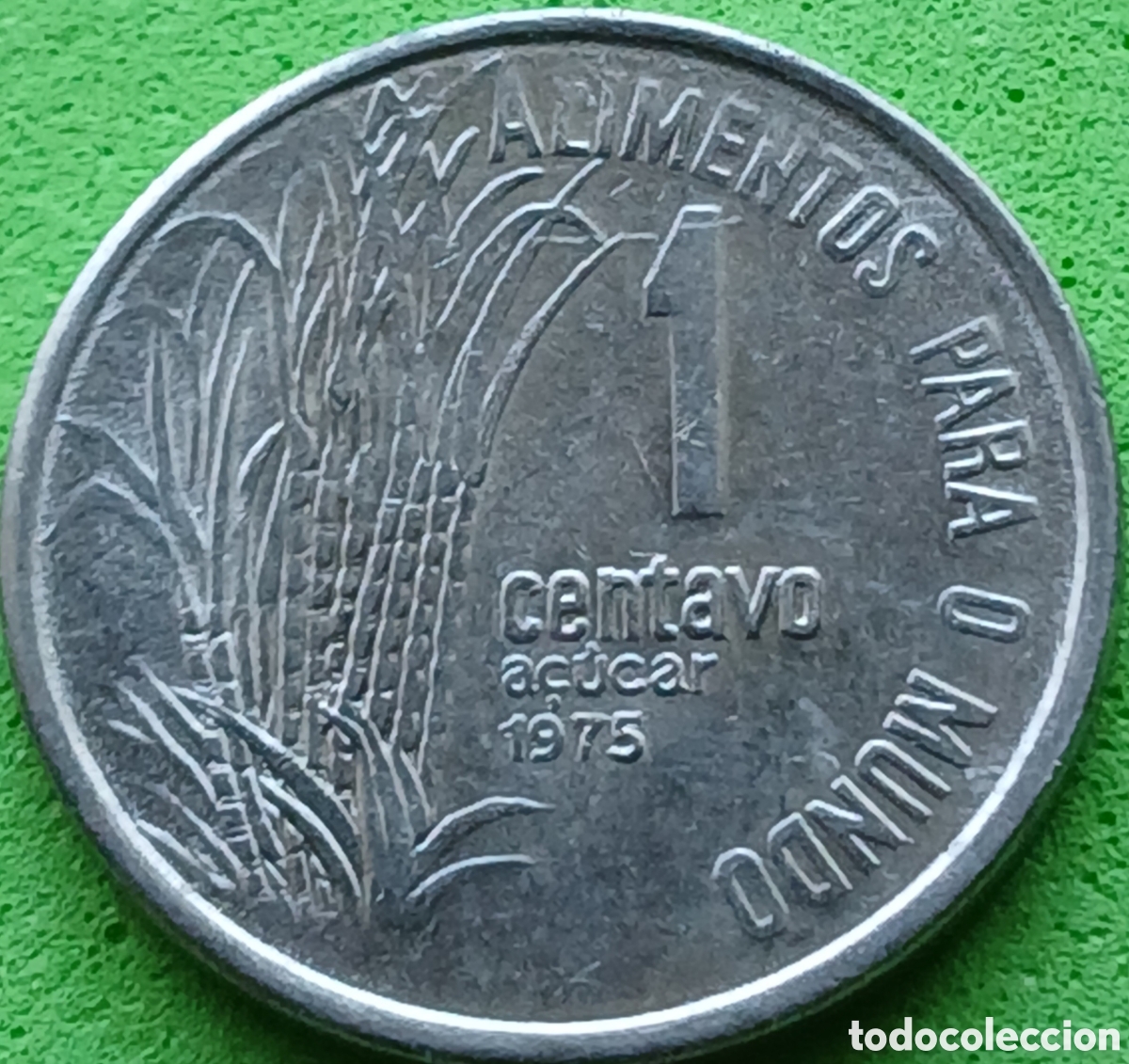Monedas antiguas de Am&eacute;rica: Brasil 1 centavo 1975 km#585 FAO, Ca&ntilde;a de az&uacute;car