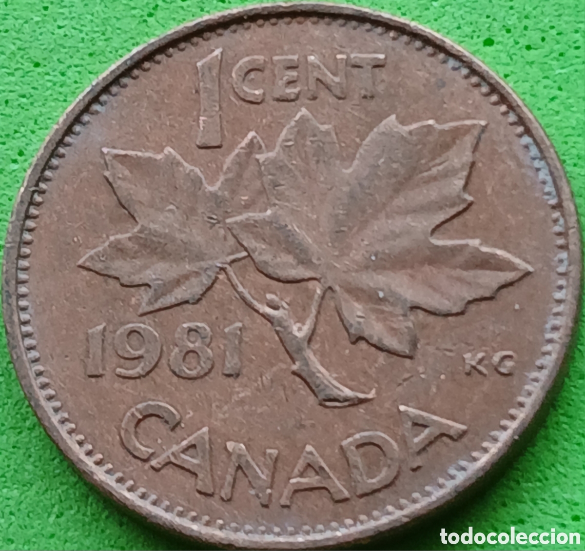 Monedas antiguas de Am&eacute;rica: Canad&aacute; 1 cent 1981 km#127