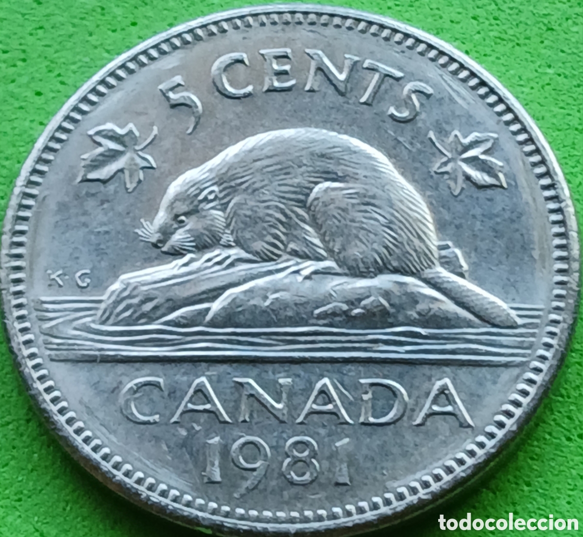 Monedas antiguas de Am&eacute;rica: Canad&aacute; 5 cents 1981 km#60.2