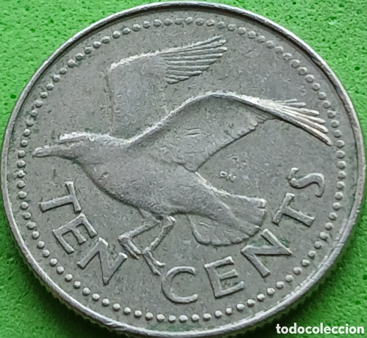Monedas antiguas de Am&eacute;rica: Barbados ten cents 1995 km#12