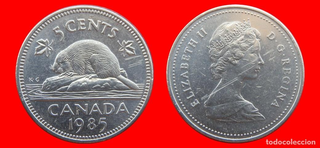 Monedas antiguas de Am&eacute;rica: 5 CENTAVOS 1985 CANADA-151662