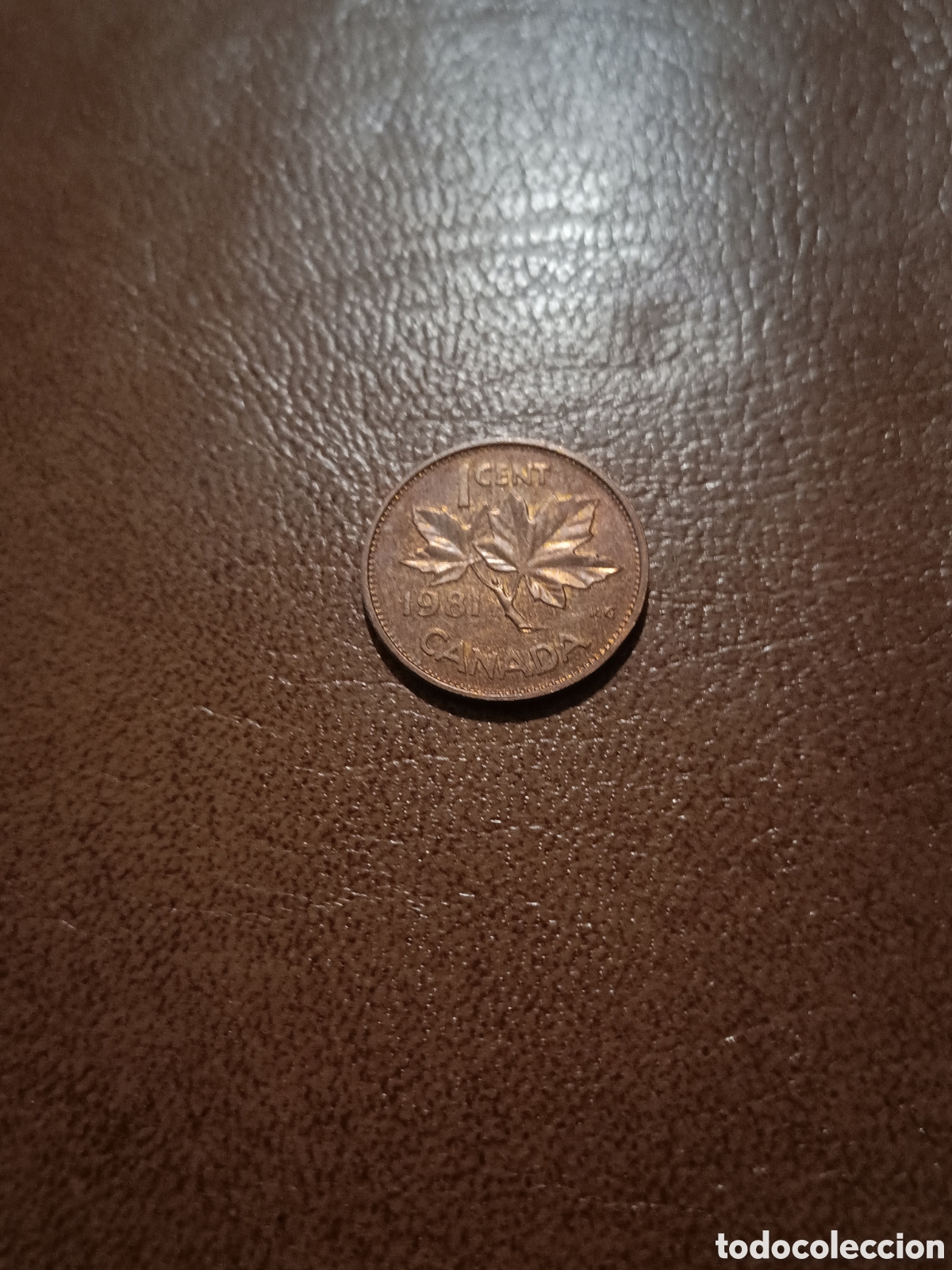 Monedas antiguas de Am&eacute;rica: 1 CENTAVO 1981 - CANADA - Foto 1
