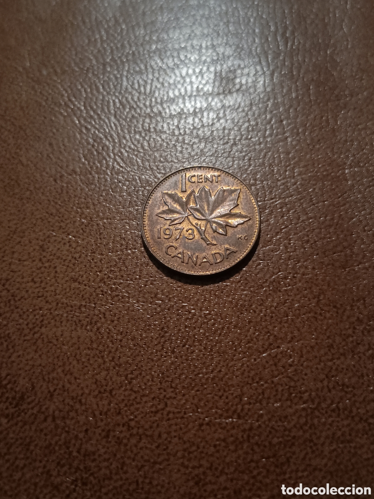 Monedas antiguas de Am&eacute;rica: 1 CENTAVO 1973 - CANADA - Foto 1