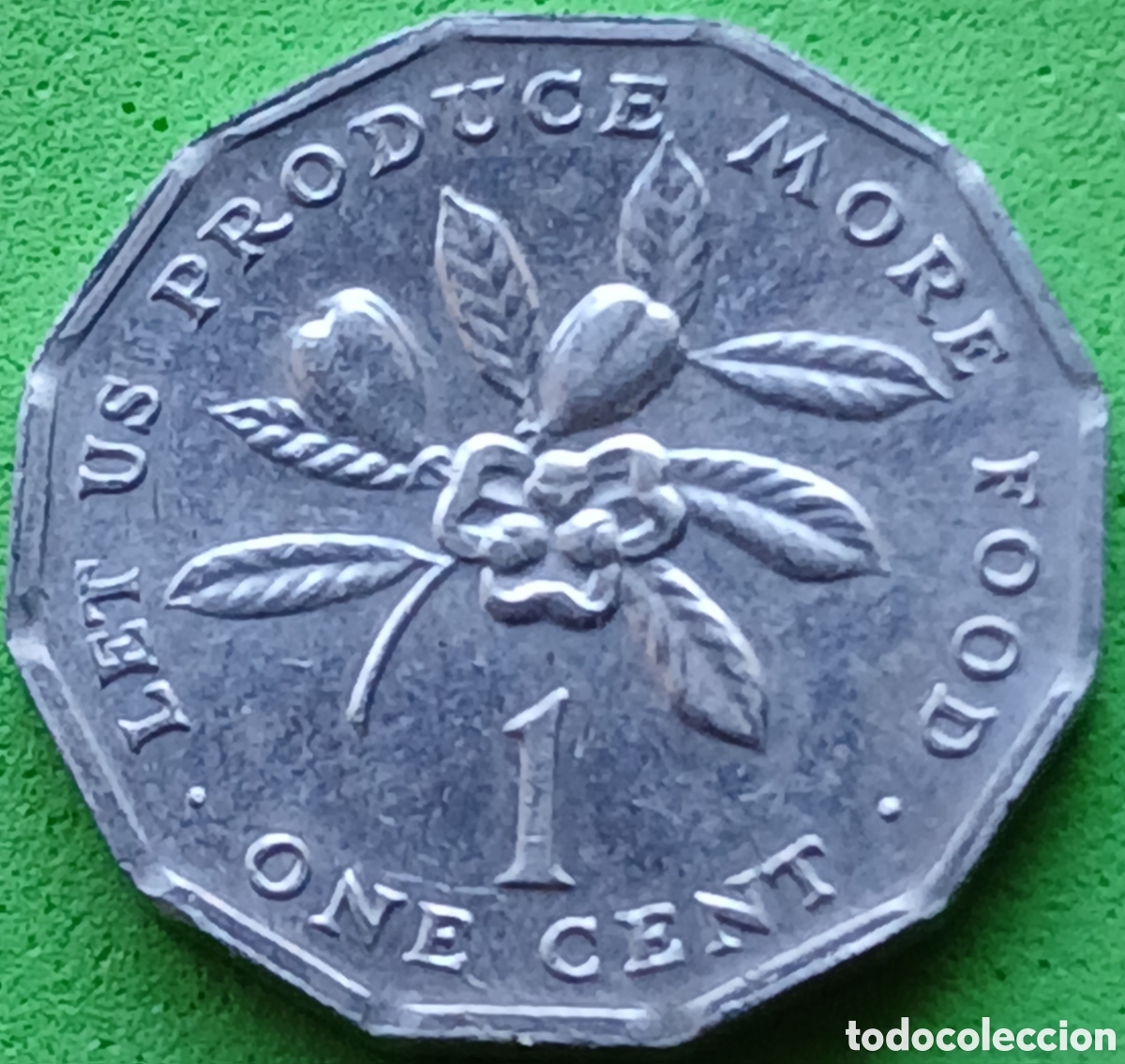 Monedas antiguas de Am&eacute;rica: Jamaica one cent 1977 km#64 sin marca de ceca/ poco com&uacute;n