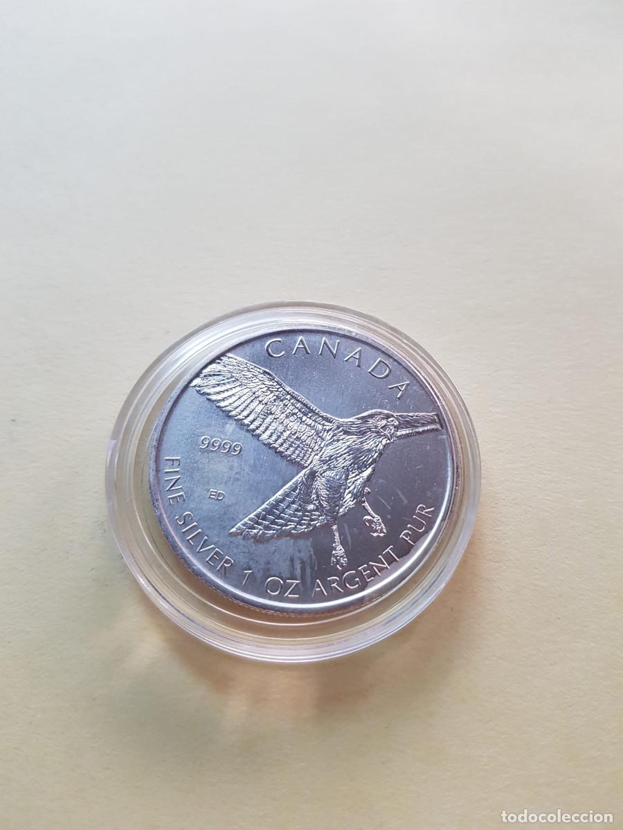 Monedas antiguas de Am&eacute;rica: CANADA- 5 DOLARES-2015- 1 ONZA PLATA 0,999