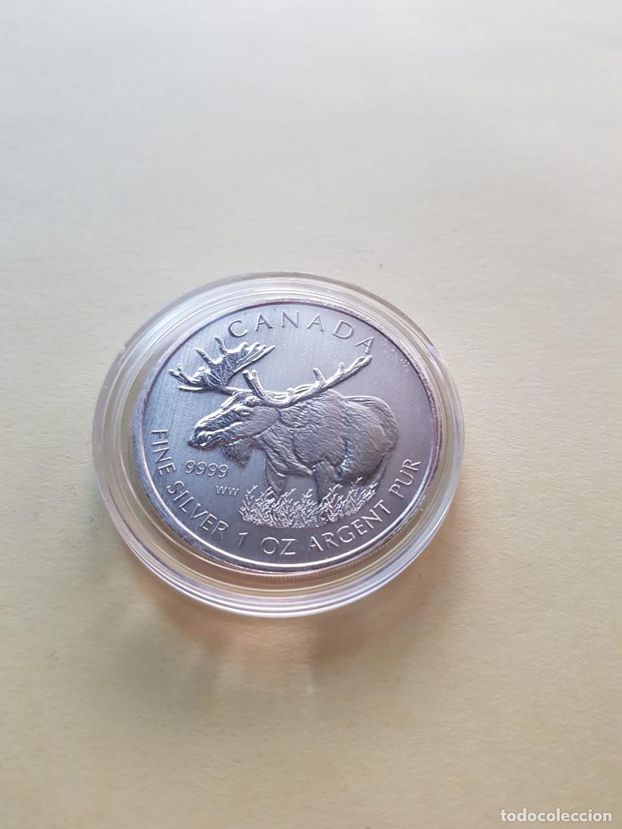 Alte M&uuml;nzen aus Amerika: CANADA- 5 DOLARES-2012- 1 ONZA PLATA 0,999