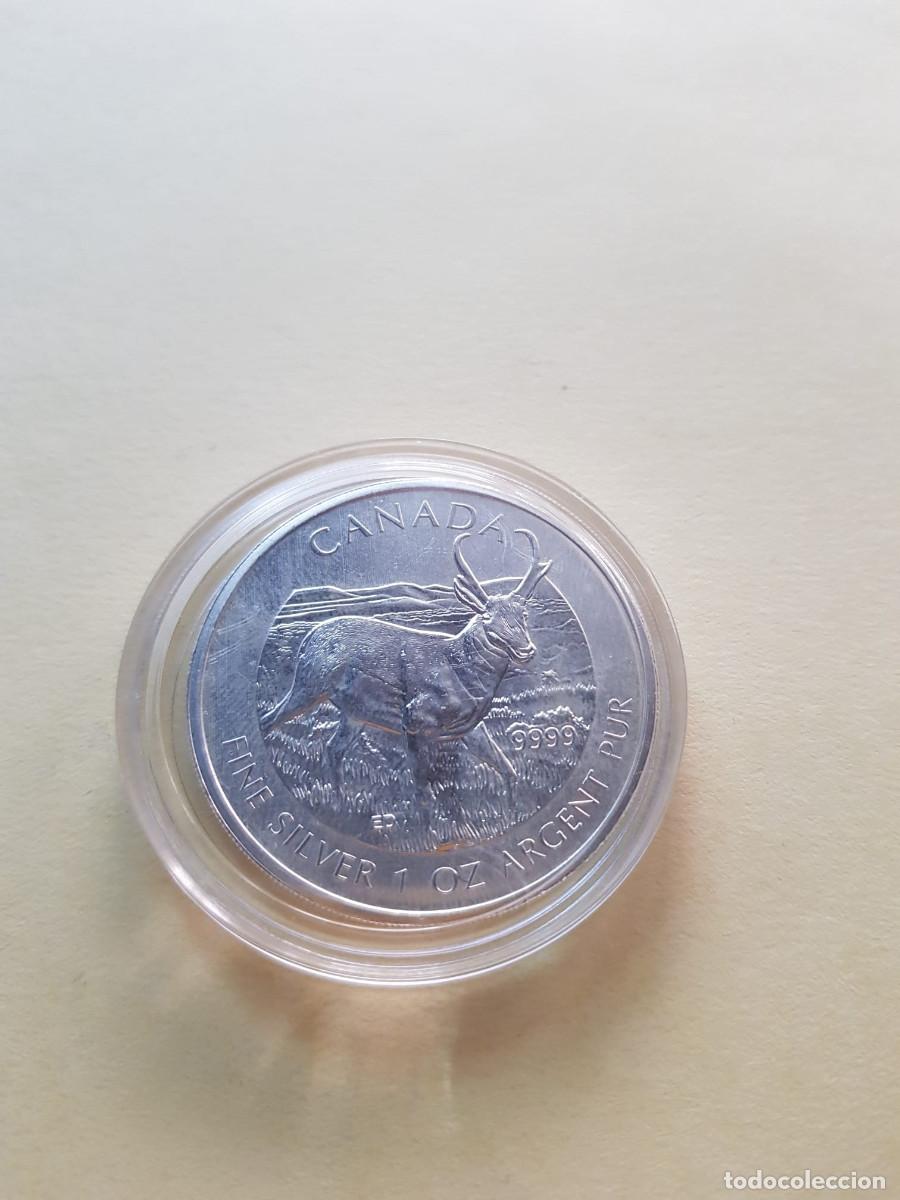 Alte M&uuml;nzen aus Amerika: CANADA- 5 DOLARES-2013- 1 ONZA PLATA 0,999