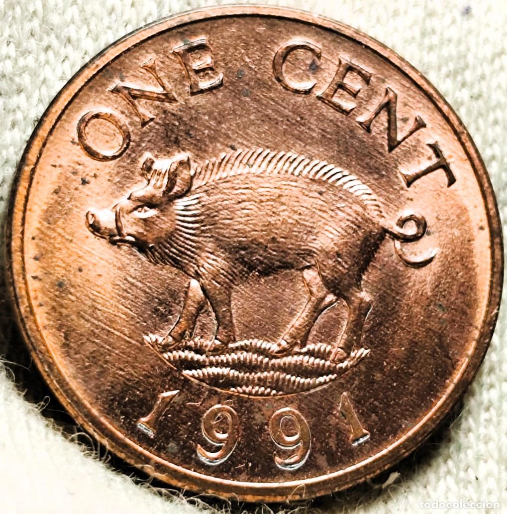 Monete antiche di America: Bermudas 1 centavos, 1991 &ndash; Sin Circular (SC) &ndash; Lote 2615