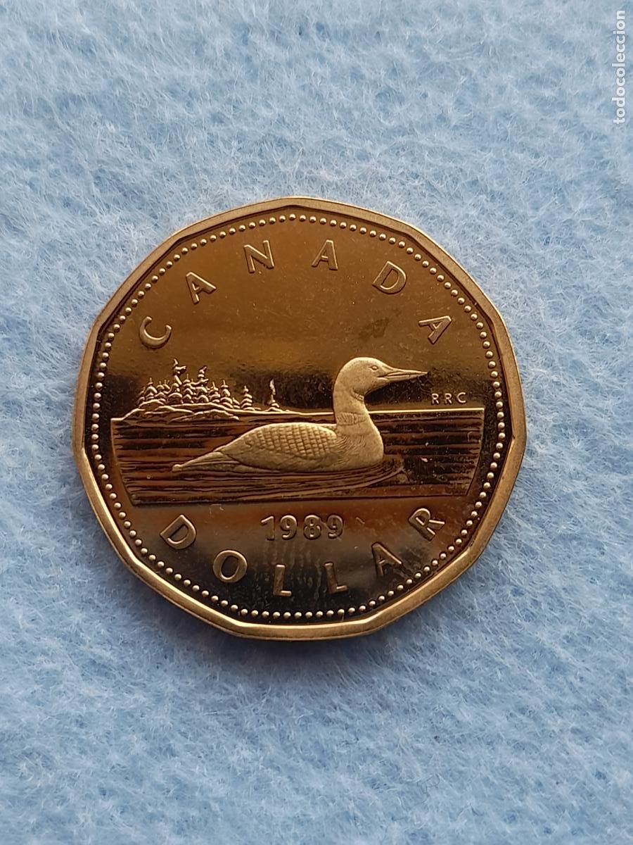 Monedas antiguas de Am&eacute;rica: Canad&aacute;. 1 D&oacute;lar. A&ntilde;o 1989. Prueba numism&aacute;tica.