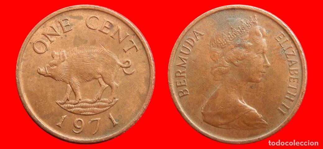 Monedas antiguas de Am&eacute;rica: 1 CENTAVO 1971 BERMUDA-152742