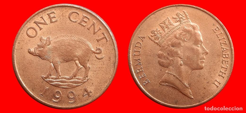 Monedas antiguas de Am&eacute;rica: 1 CENTAVO 1994 BERMUDA-152744