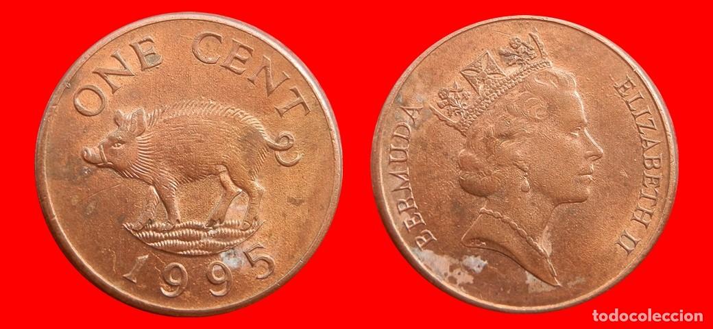 Monedas antiguas de Am&eacute;rica: 1 CENTAVO 1995 BERMUDA-152745