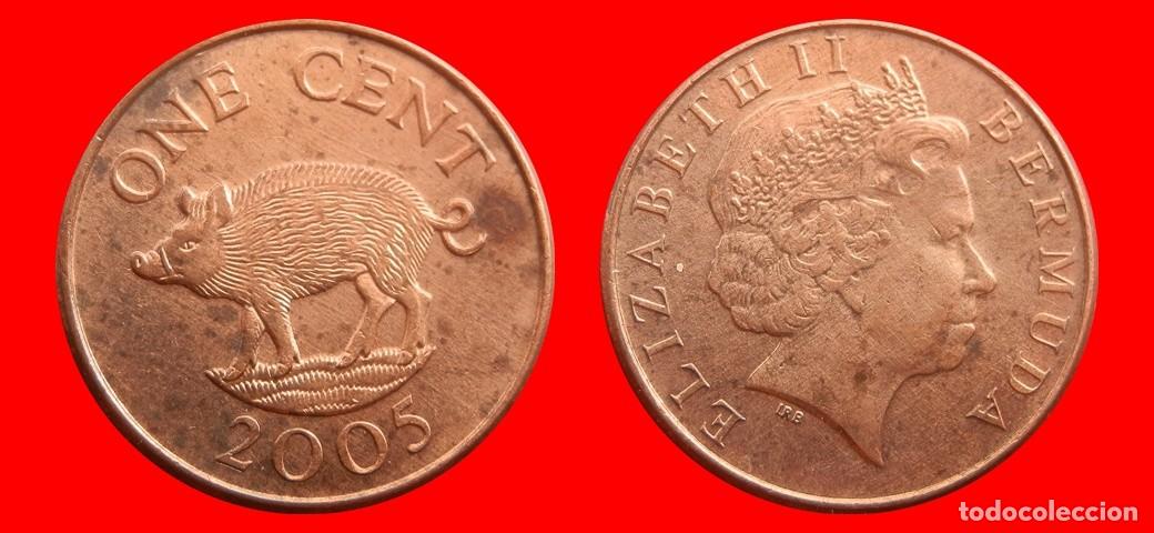 Monedas antiguas de Am&eacute;rica: 1 CENTAVO 2005 BERMUDA-152747