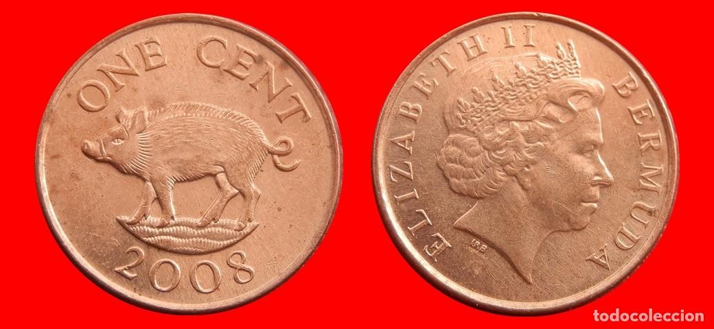 Monedas antiguas de Am&eacute;rica: 1 CENTAVO 2008 BERMUDA-152748