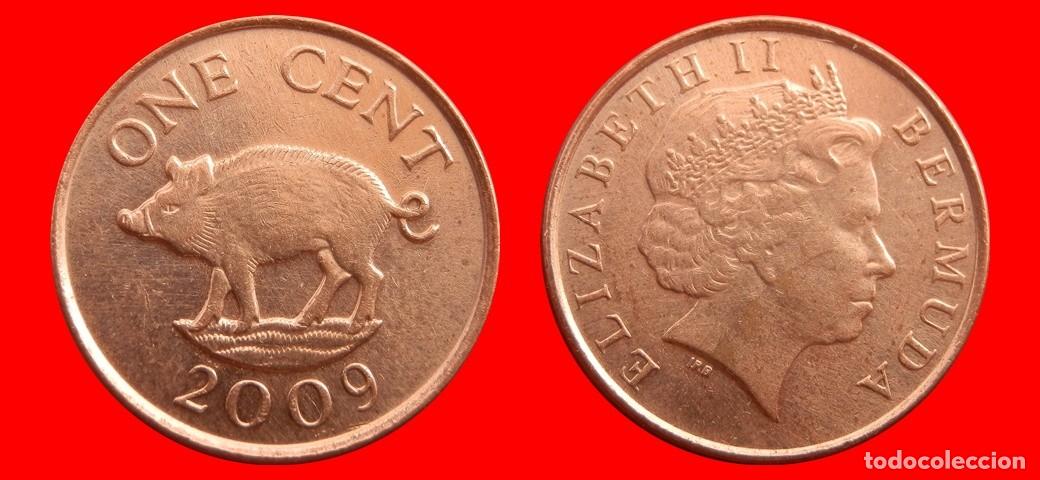Monedas antiguas de Am&eacute;rica: 1 CENTAVO 2009 BERMUDA-152749